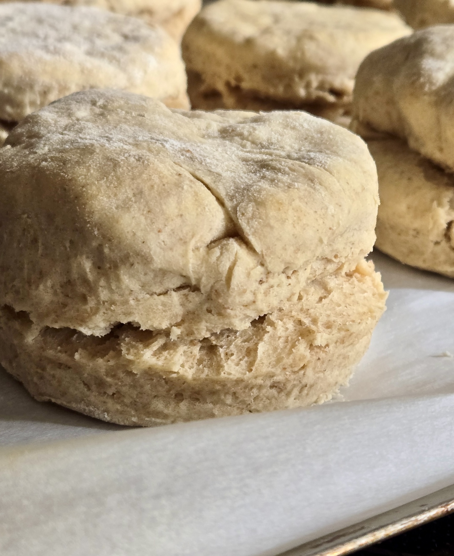 Vegan Whole Wheat Biscuits